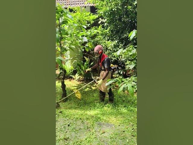 Video thumbnail for November 4, 2025