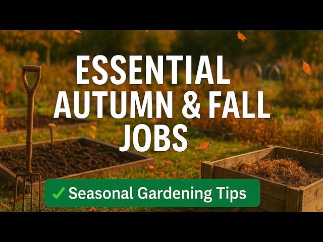 Video thumbnail for 🎥 ✅ 🍂✨ Essential Autumn & Fall Jobs in the Allotment Garden 🌿💪 | Seasonal Gardening Tips 🎙️
