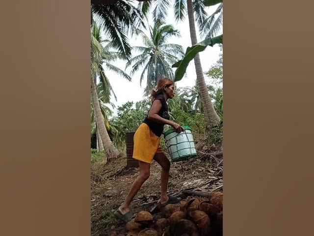 Video thumbnail for December 24, 2025