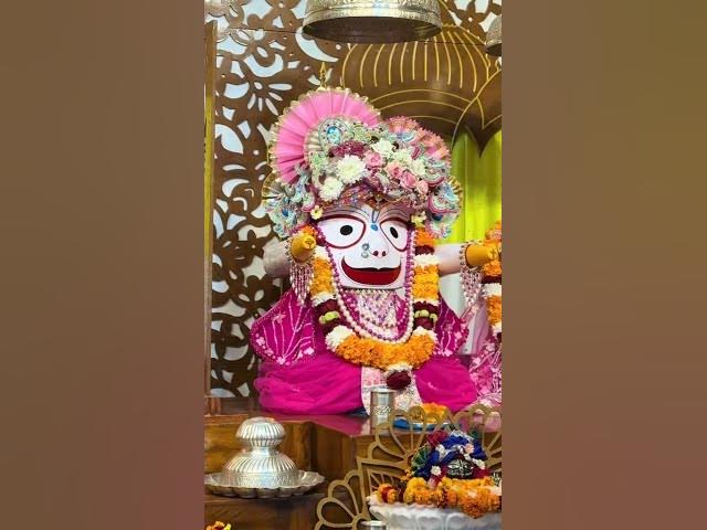 Video thumbnail for ভগবান জগন্নাথ দেবের অপরূপ সৌন্দর্য্যের লীলা দরর্শ করুন। joy Jagannath :#harekrishna #shortvideo