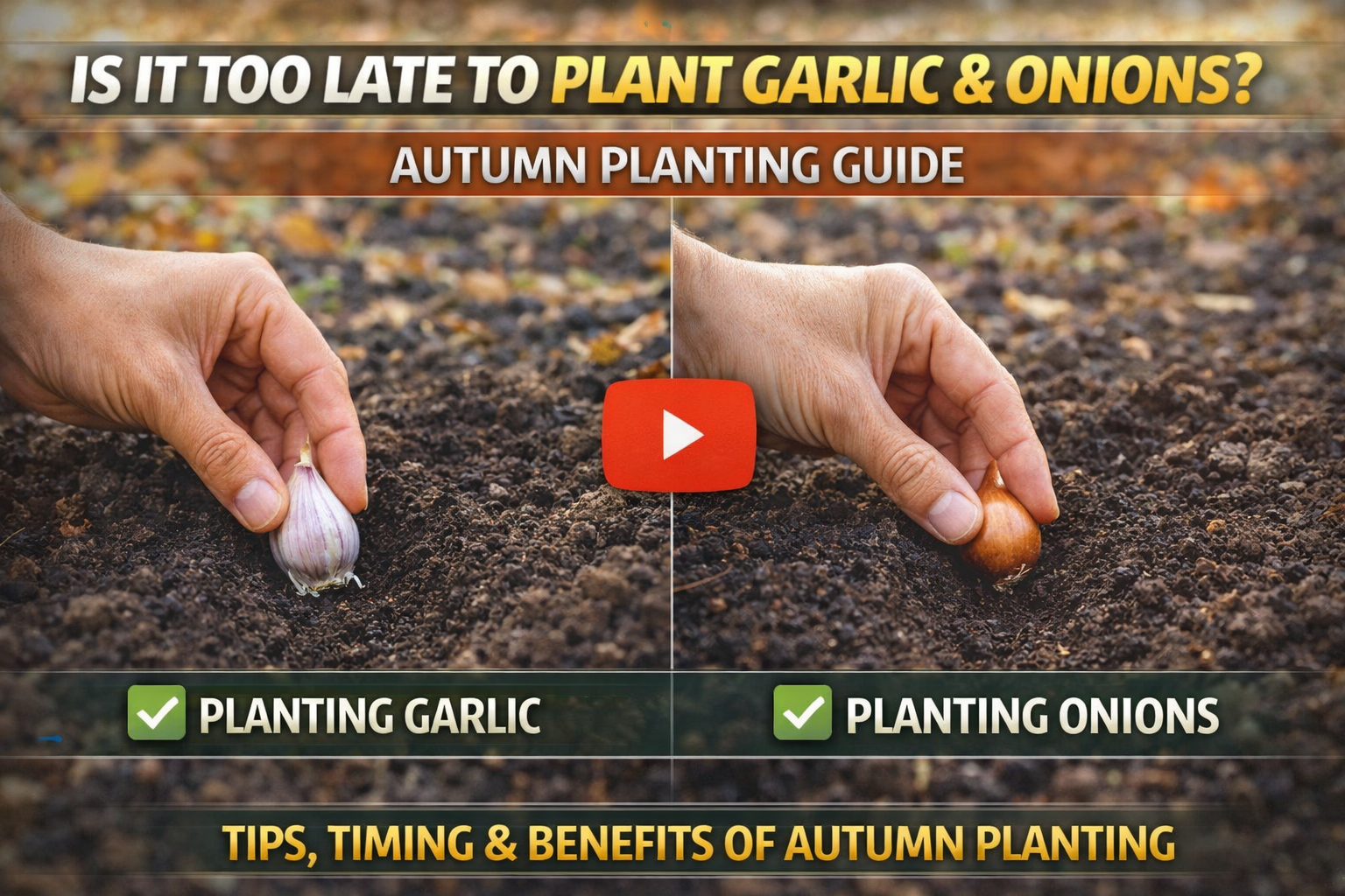 Video thumbnail for Is It Too Late to Plant Garlic & Onions? | Autumn Planting Guide