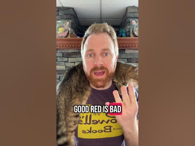 Video thumbnail for The RPGBOT team is small, but does great work