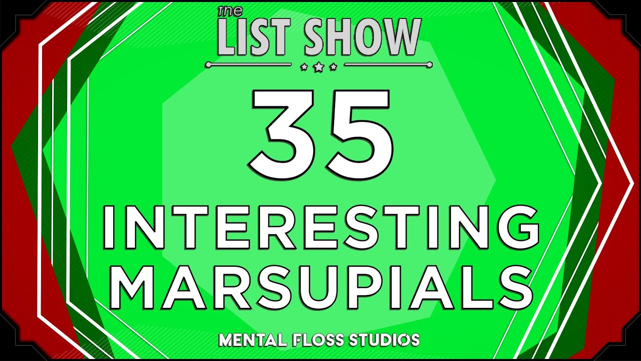 Video thumbnail for 35 Adorable & Fascinating Marsupial Facts | Mental Floss