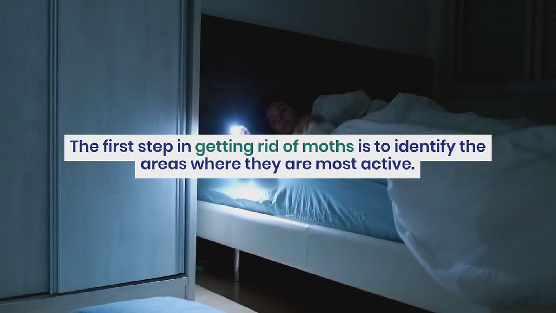 'Video thumbnail for How to Get Rid of Moths'