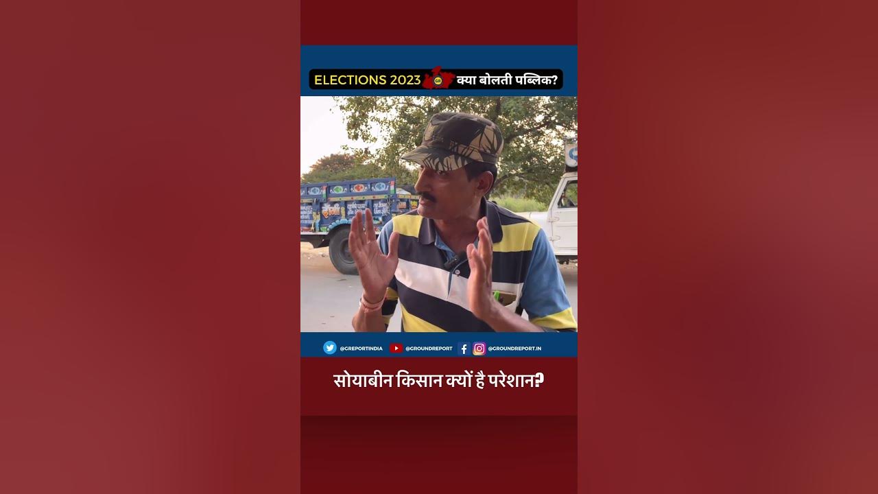 Video thumbnail for #MadhyaPradesh Soyabean Farmers Not Happy With The BJP | #MPElections2023 #shorts #news