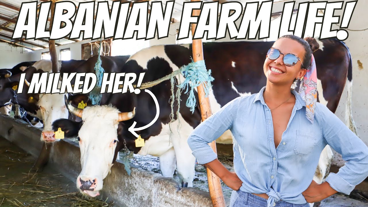 Video thumbnail for WE DID NOT EXPECT THIS! | ADOPTED BY AN ALBANIAN FAMILY! (this is why we travel)