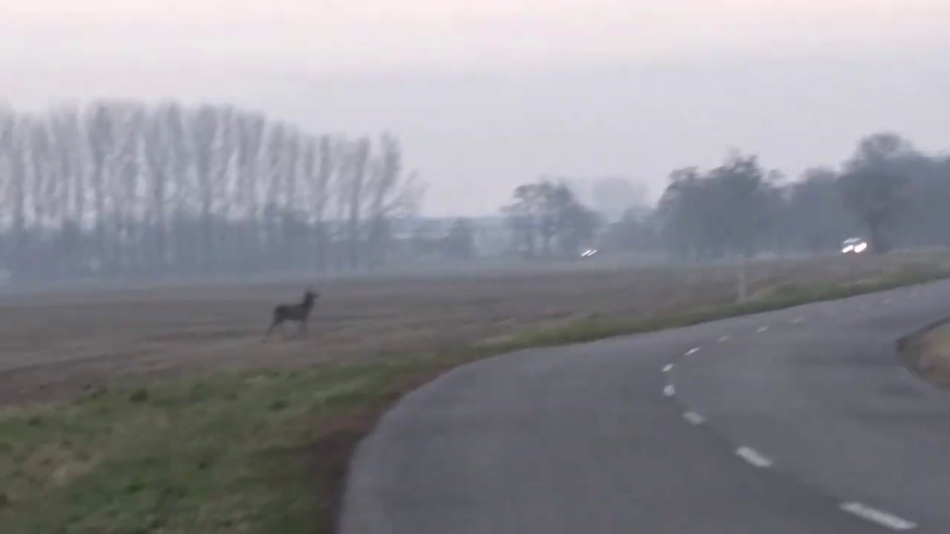 Video thumbnail for _zek_Darn_zseli_720P