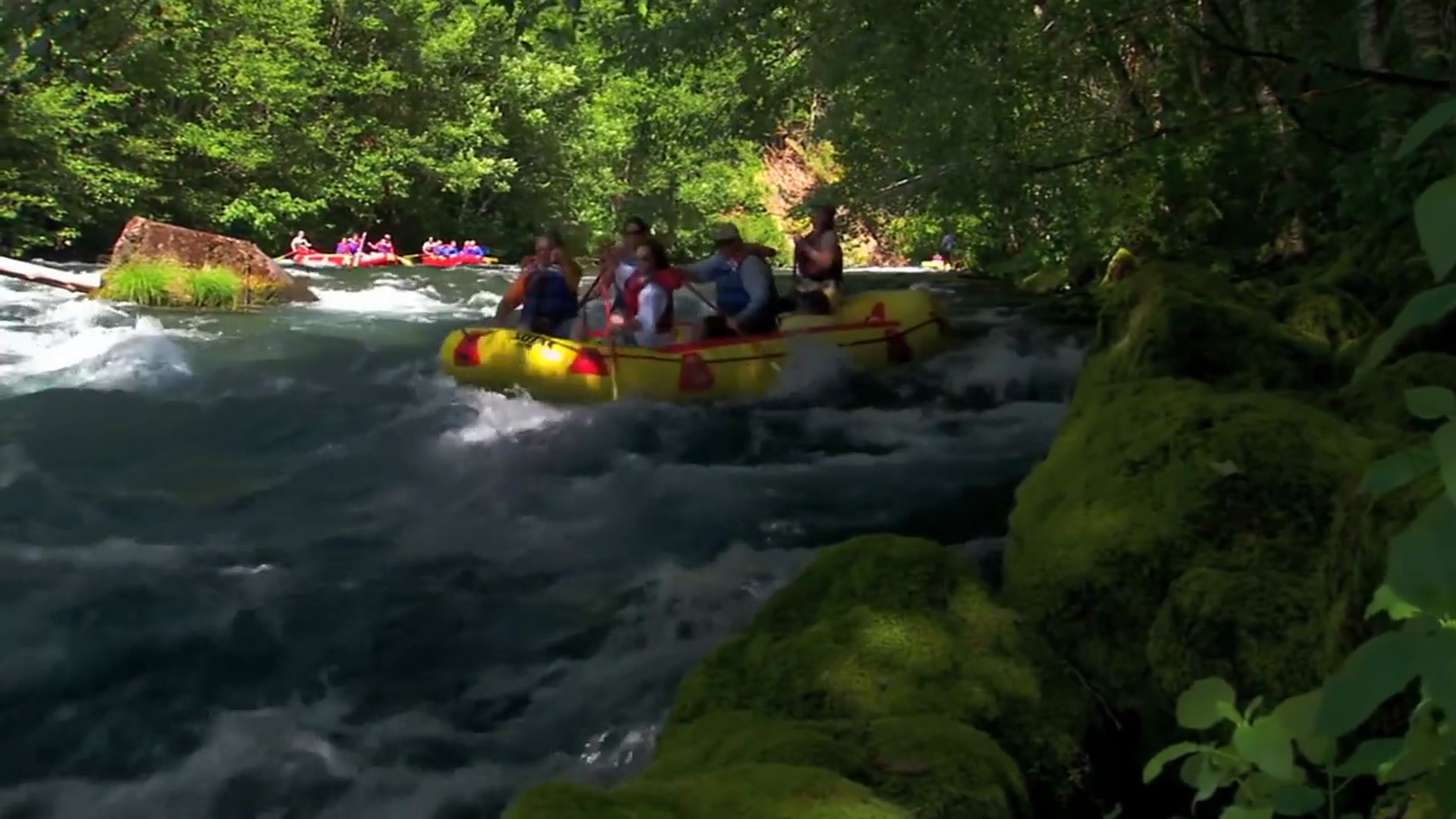 'Video thumbnail for 15 Most Visited National Parks in The United States'