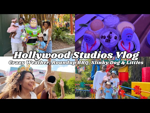 Video thumbnail for Disney's Hollywood Studios Vlog | Best Restaurant at Hollywood Studios? | Disney With Littles