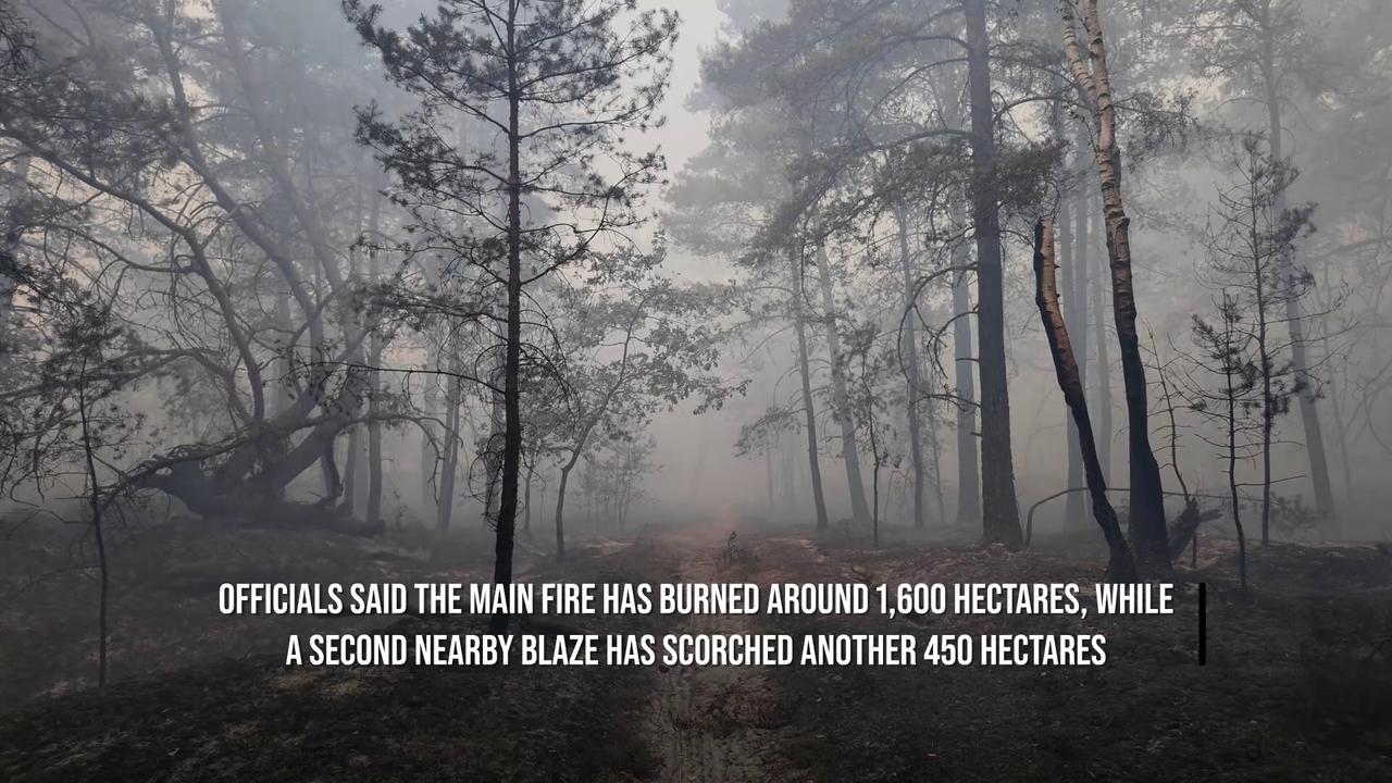 Video thumbnail for Two Arrested As Firefighters Battle Fontainebleau Forest Blaze Near Paris.