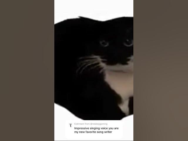 Video thumbnail for maxwell sing