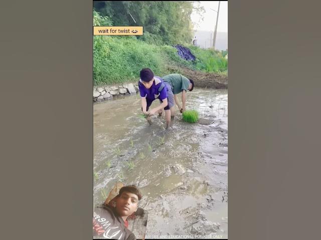 Video thumbnail for धान की रसोई #funny #comedy #woodworking #eatingchallenge #shortfeed #ytshorts #youtubeshorts