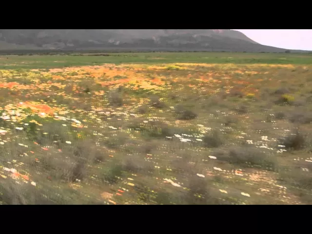 Video thumbnail for Namaqualand day 3