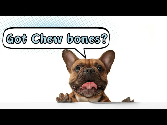 'Video thumbnail for Dog Chew Bones - Doggozila Magazine'