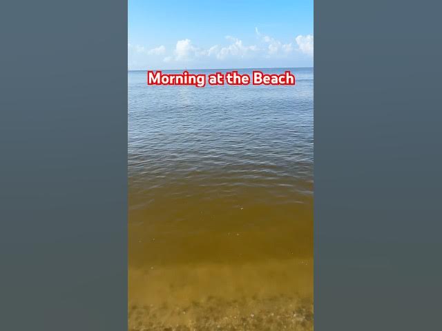 Video thumbnail for Beach Day #beach