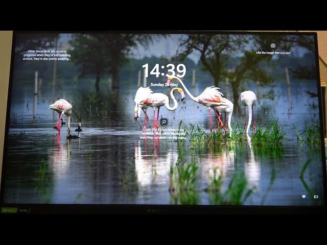 Video thumbnail for How to Change OSD Timeout on Acer Predator XB3?