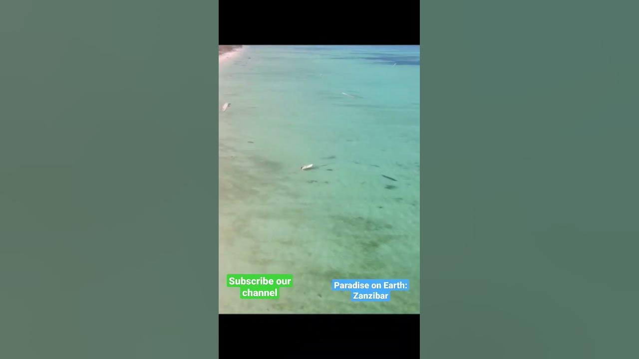 Video thumbnail for Zanzibar: the paradise on earth