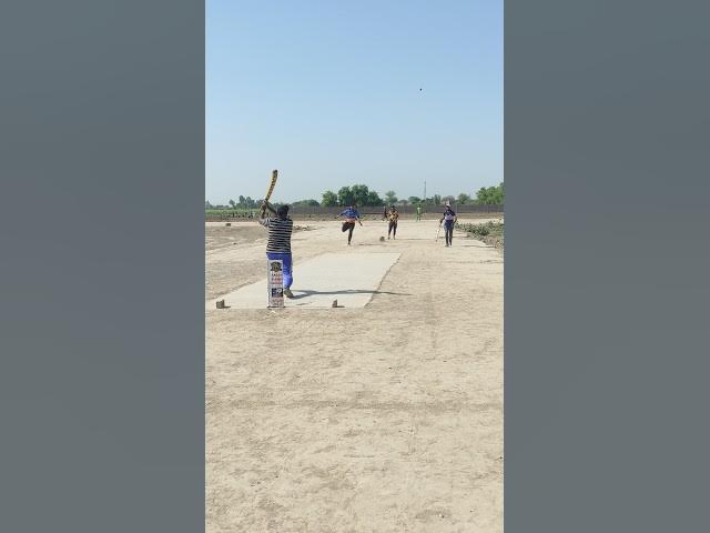 Video thumbnail for Shahzad #💯#cricket #shorts  very nice six