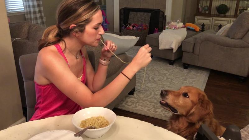 Video thumbnail for Golden Retriever Recreates Lady and the Tramp Spaghetti Scene