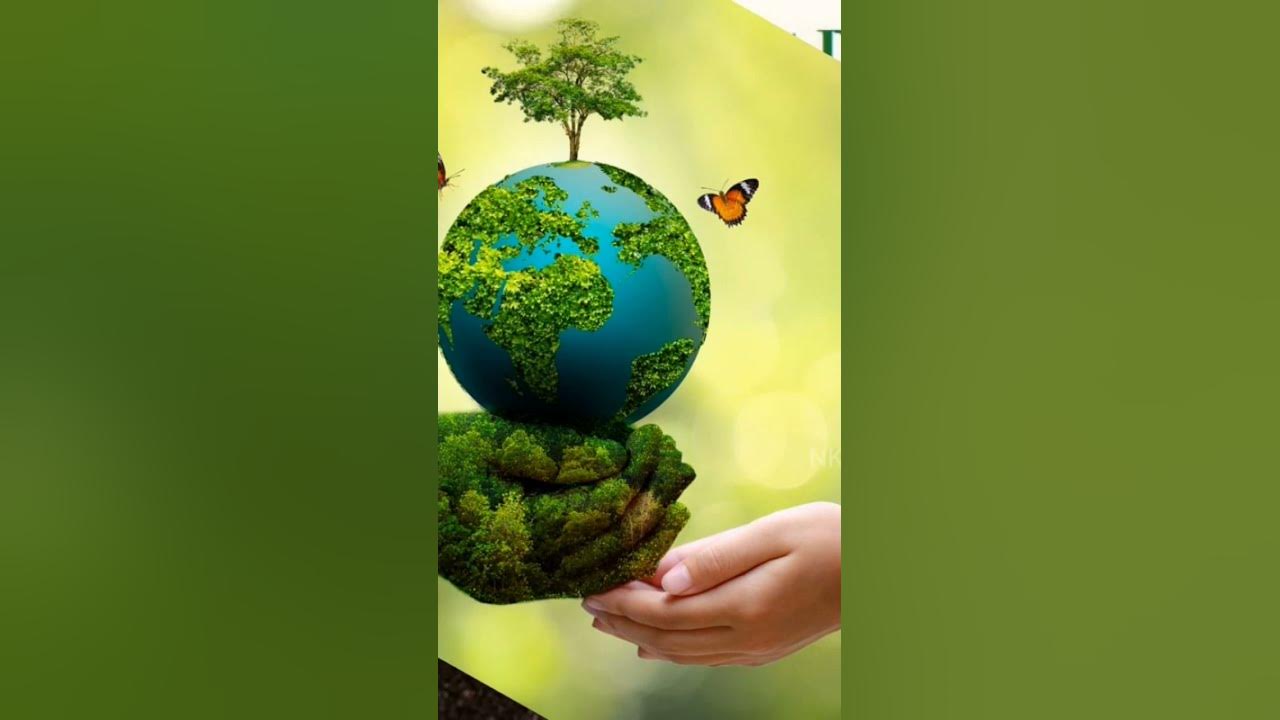 Video thumbnail for On World Environment Day, Safaiwala received a card of honour.