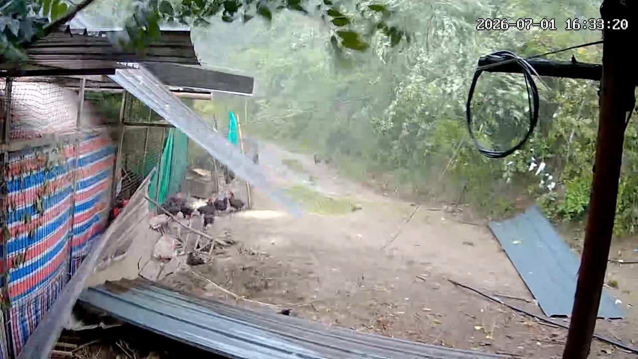 Video thumbnail for China: Strong winds peel away metal roof at Chinese chicken farm.