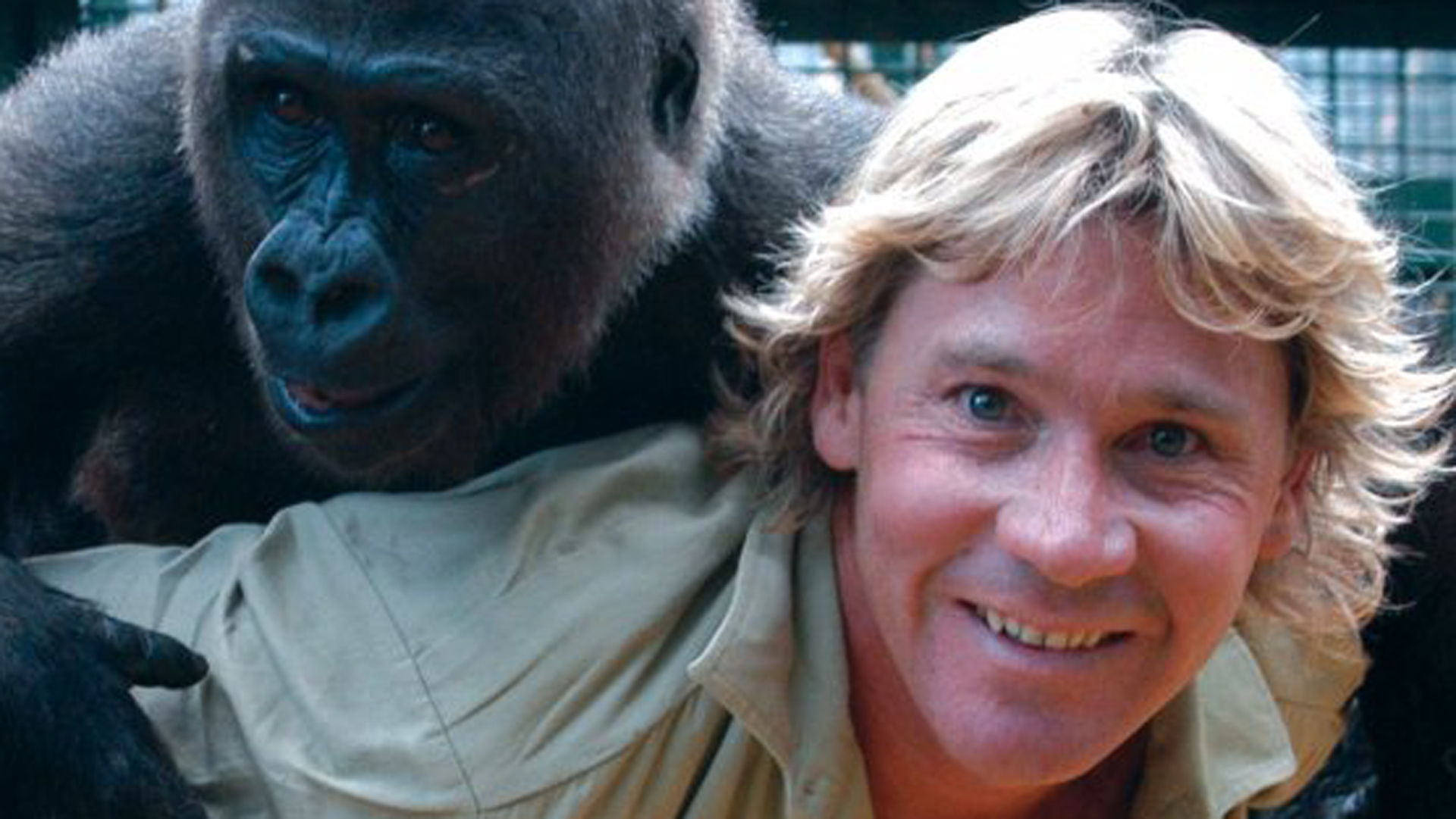 Video thumbnail for Details You Didn't Know About Steve Irwin