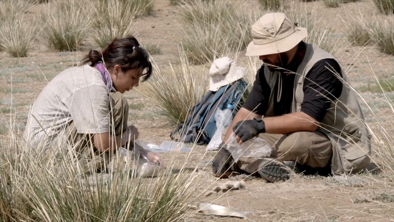 Video thumbnail for Mongolia: Ancient irrigation system found in Mongolia sheds new light on early Turkic farming.