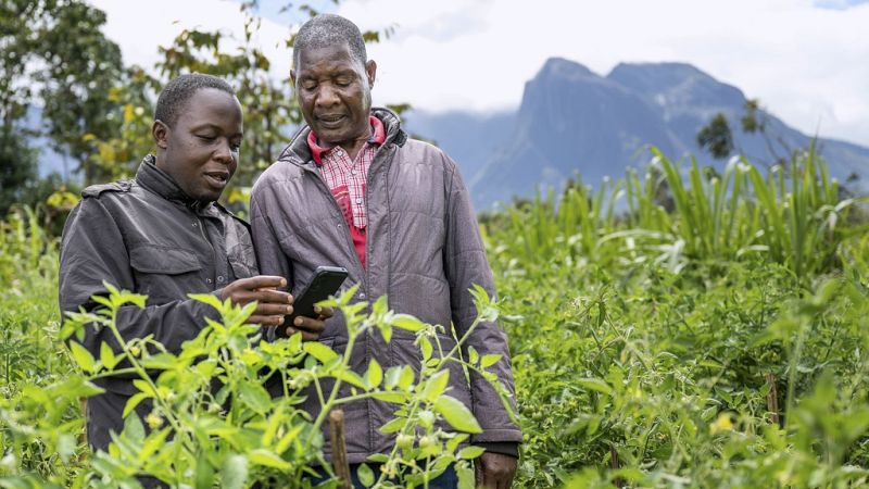 'Video thumbnail for Malawi: farmers turn to AI to boost their yields'