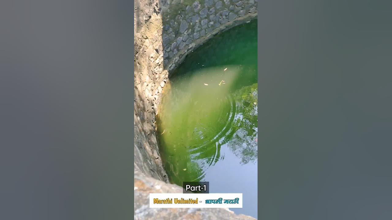 Video thumbnail for #shortsfeed #jungle #shortsvideo #shortsbeta #shorts #shortvideo #reels #reel #shortsyoutube