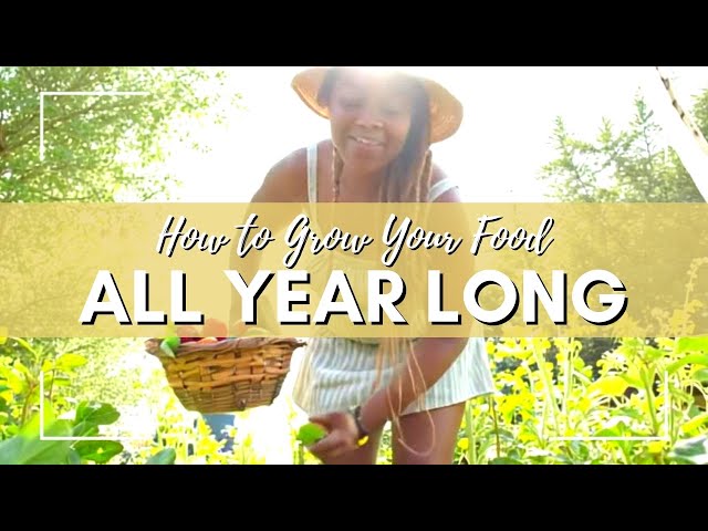 Video thumbnail for How To Grow Your Own Food All Year Long #growfoodathome #sustainableliving