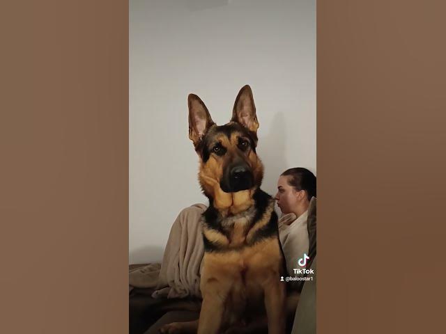 Video thumbnail for Gsd 101 2023 10 12 123854875