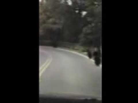 Video thumbnail for October 6, 2024