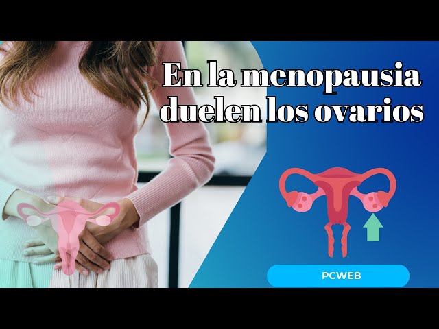 'Video thumbnail for Dolor de Ovarios en la Menopausia Síntomas y Tratamientos'