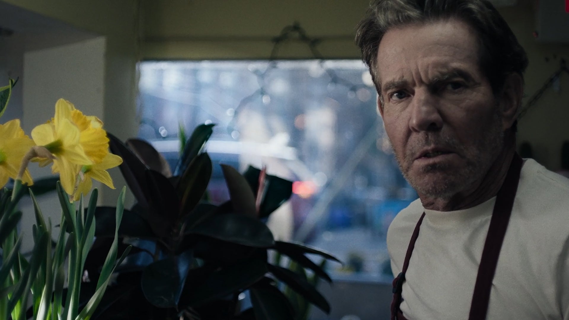 Video thumbnail for The Florist - Official Trailer