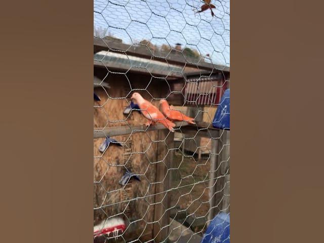 Video thumbnail for December 28, 2023