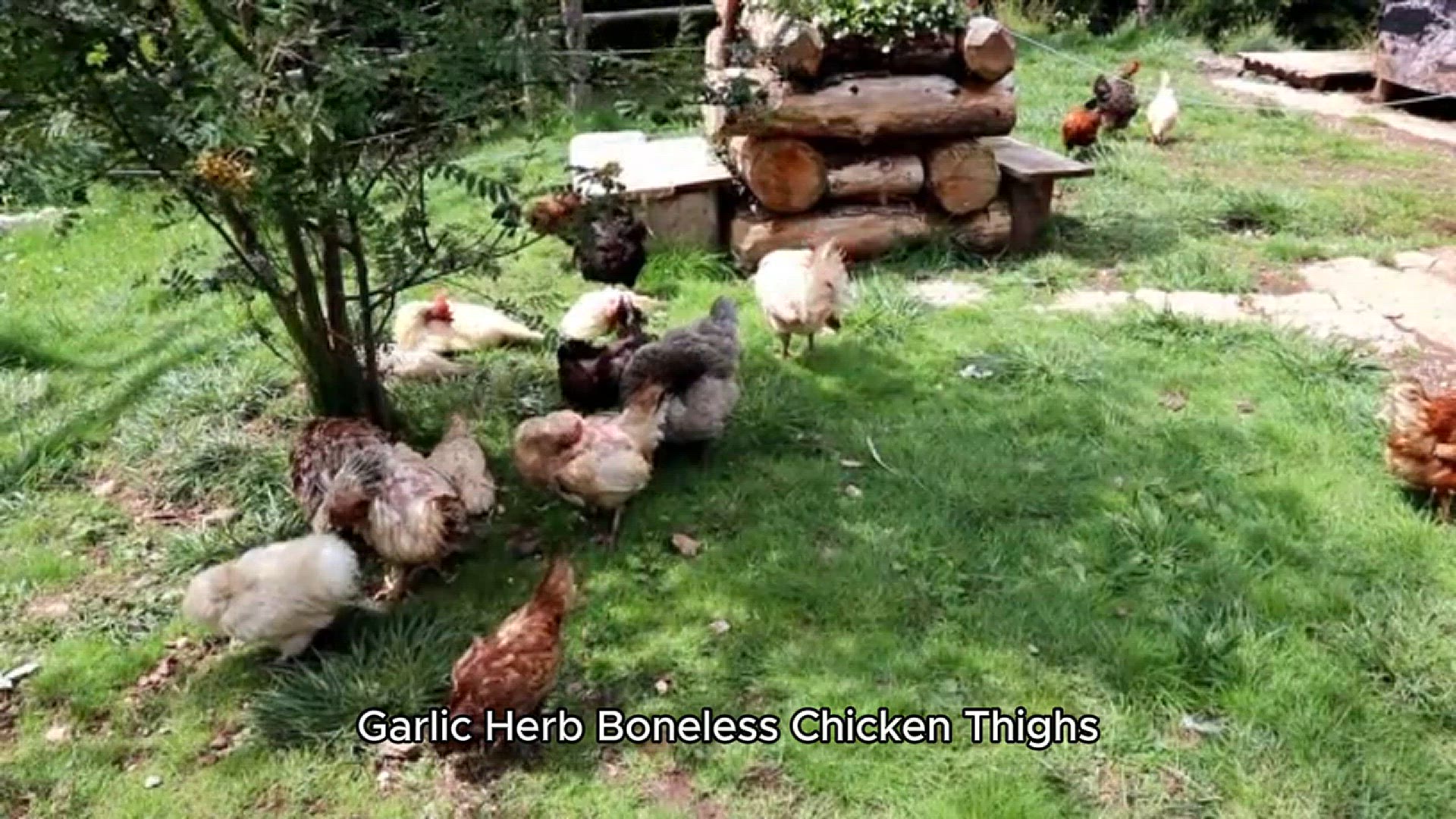 Video thumbnail for boneless chicken thigh recipe