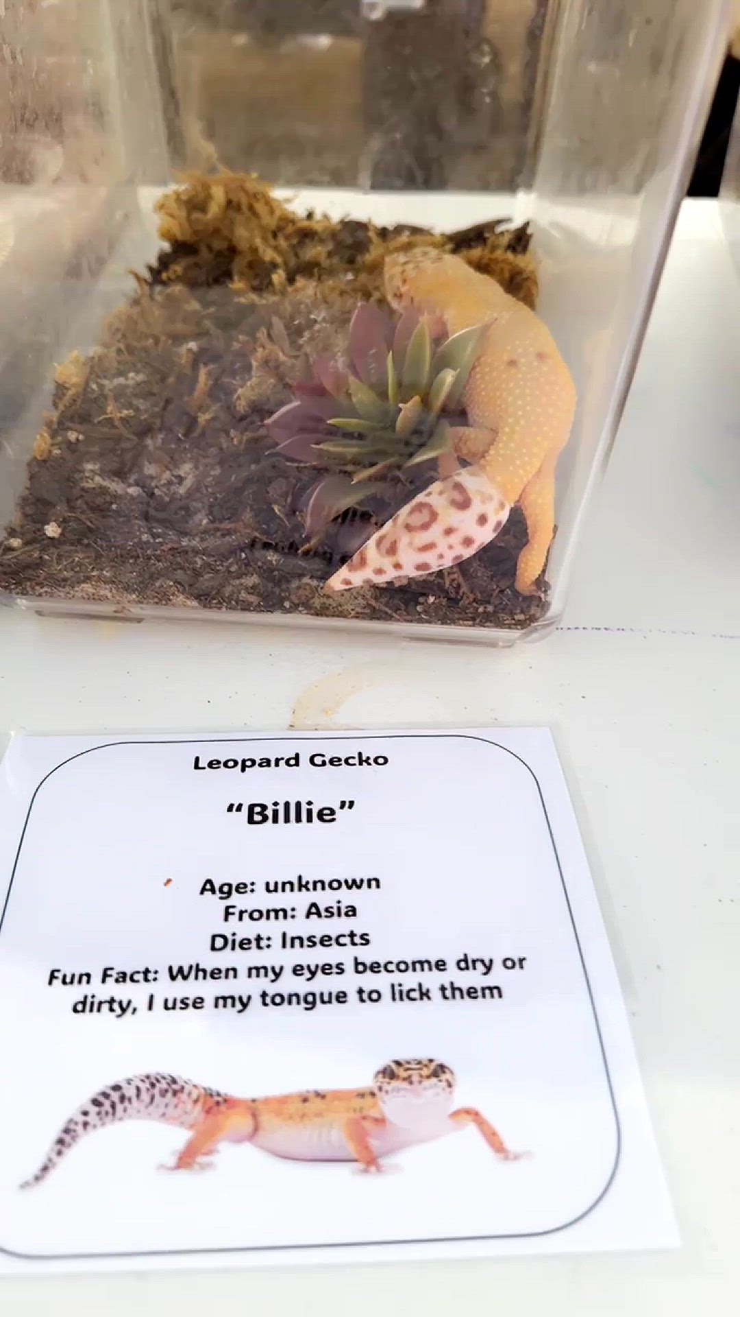 Video thumbnail for filtered-D86E040D-DBE3-4F13-8BF1-182D8AE807F8