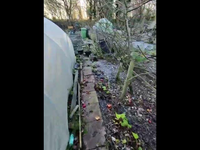 Video thumbnail for 🎥 ✅ ❄️ A Frosty Boxing Day Morning at the Allotment 🌱 | Winter Calm & Reflection