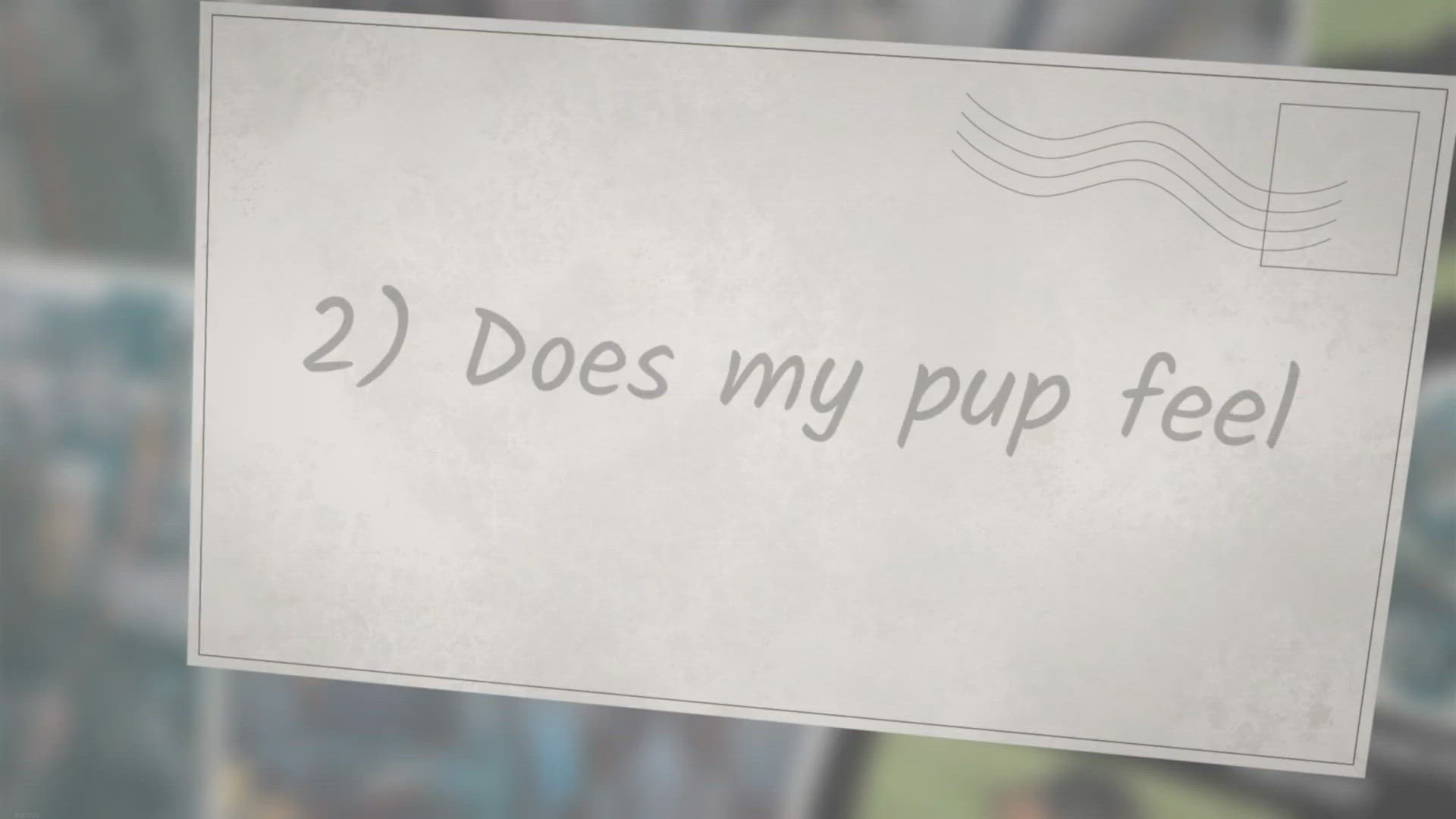 Video thumbnail for How to Tell if a Dachshund Puppy is Long-Haired?