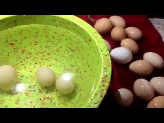 Video thumbnail for How To Check Egg Freshness & (Make Sure They Are Still Good)