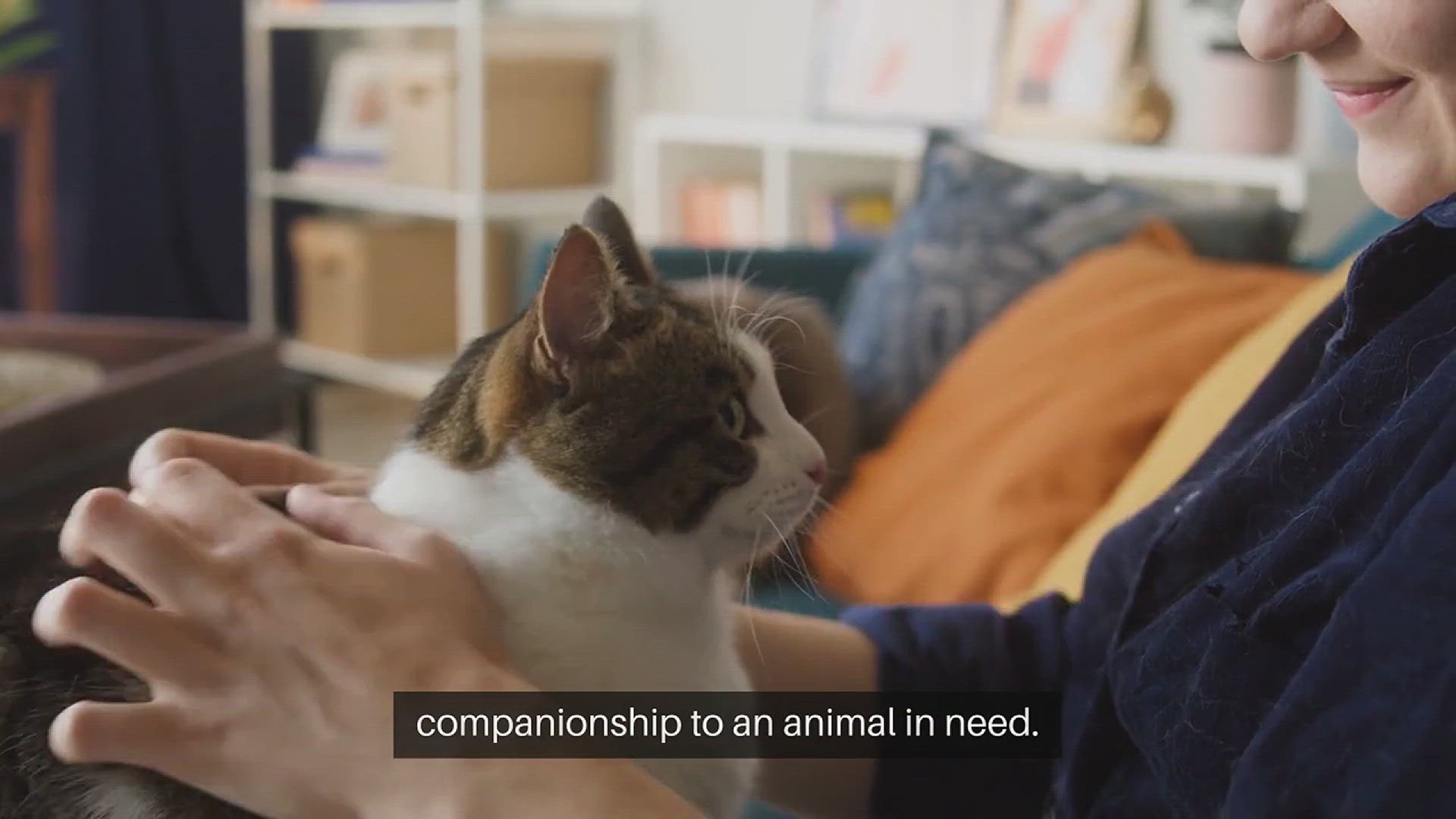 Video thumbnail for Adopting a Rescue Pet Heartwarming Stories