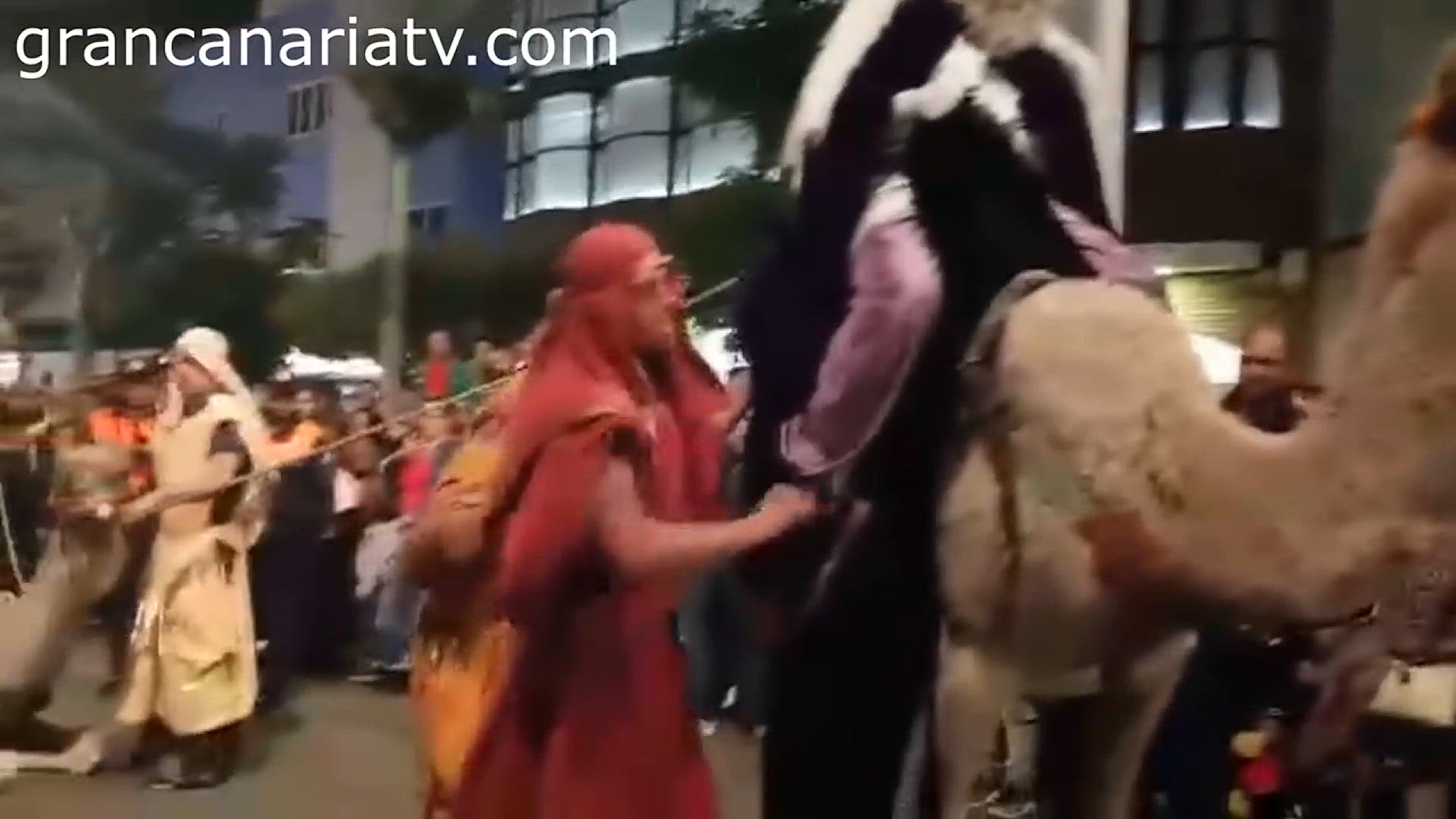 'Video thumbnail for Kamele bei Königsparade in Vencindario 2019'