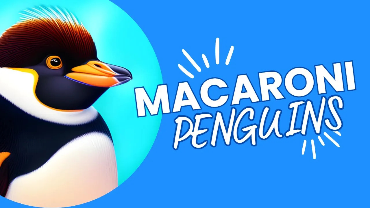 Video thumbnail for 10 Fascinating Facts About Macaroni Penguins: The Fighter Penguins of the Antarctic