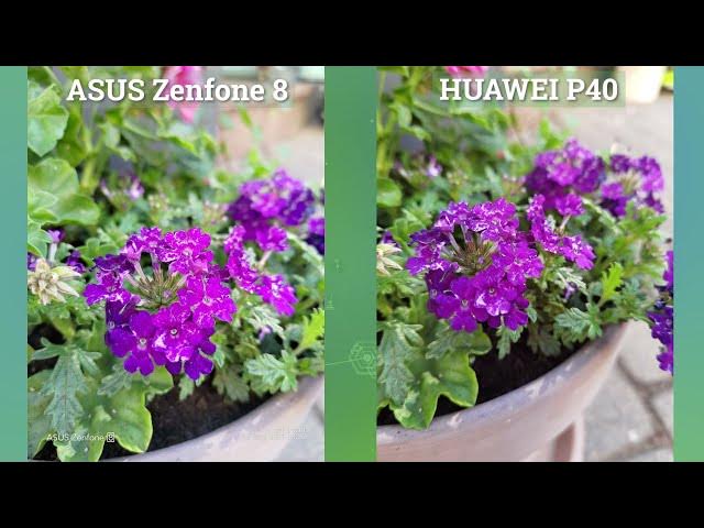 Video thumbnail for ASUS Zenfone 8 vs Huawei P40 Camera Comparison - Battle of the Flagships