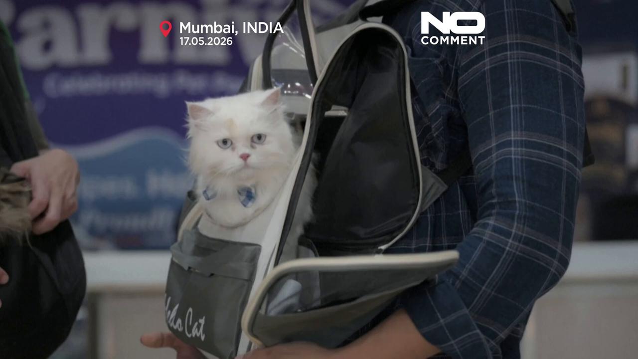 Video thumbnail for Cats in costumes and beauty contests draw crowds at expo