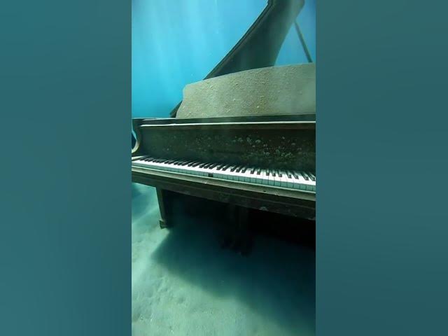 Video thumbnail for Treasure Diver Finds a Grand Piano on the Ocean Floor — And It’s Still Playing