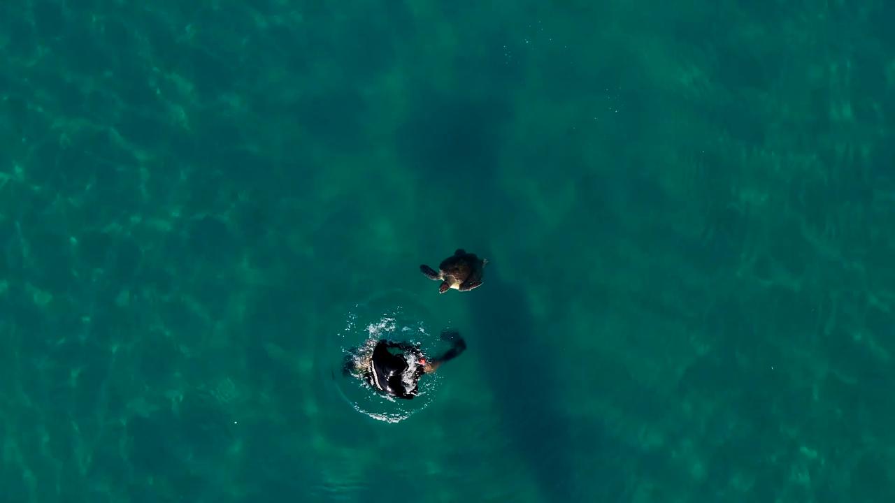 Video thumbnail for Türkiye: Diver and sea turtle build heartwarming bond in waters off Antalya, Türkiye.