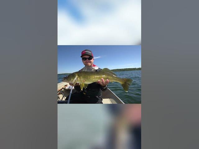 Video thumbnail for Surprising Walleye Catch in Mackenzie River