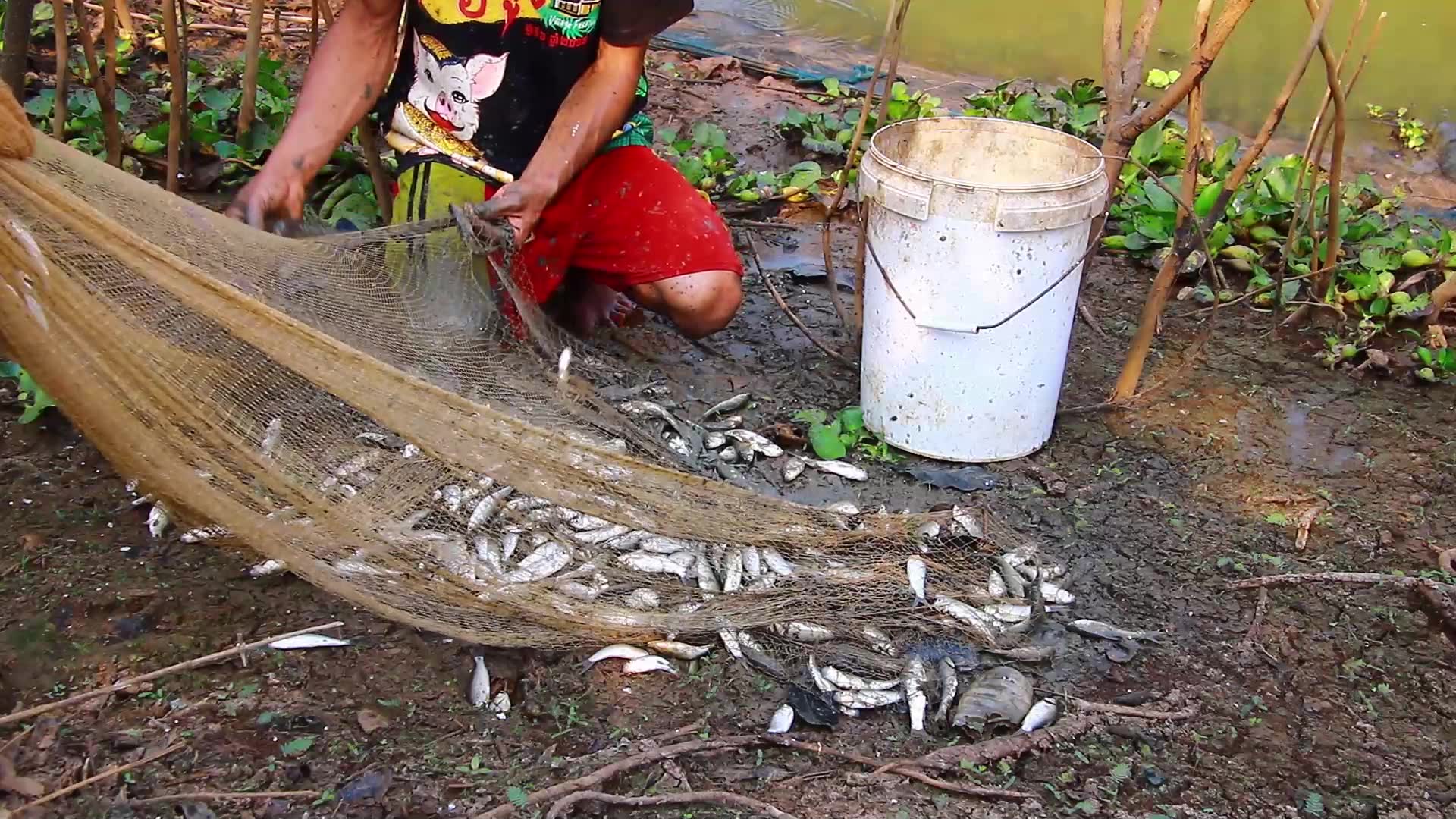 Video thumbnail for Fishman in my village catch fish a lot in river