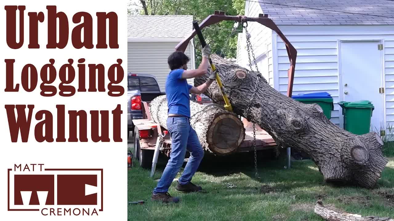 Video thumbnail for Picking Up a Walnut Tree - Urban Logging